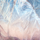 Image for article titled These Magical Landscapes Are Actually Photos of Plastic Bags
